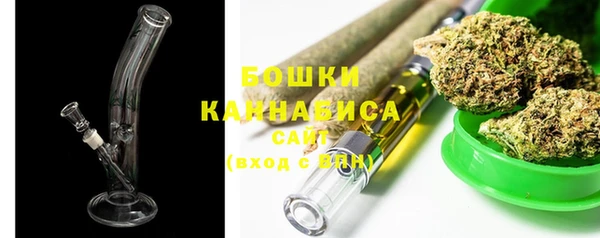 гашик Белокуриха
