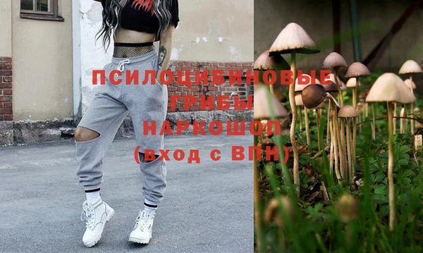 гашик Белокуриха
