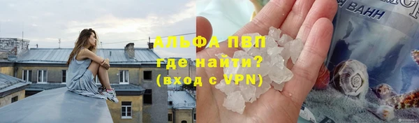 молекула духа Белоозёрский