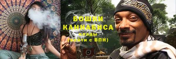 молекула духа Белоозёрский