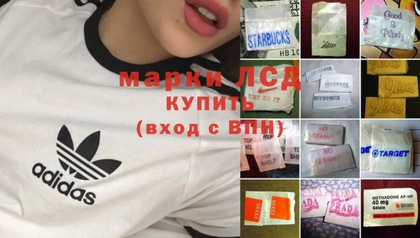 гашик Белокуриха